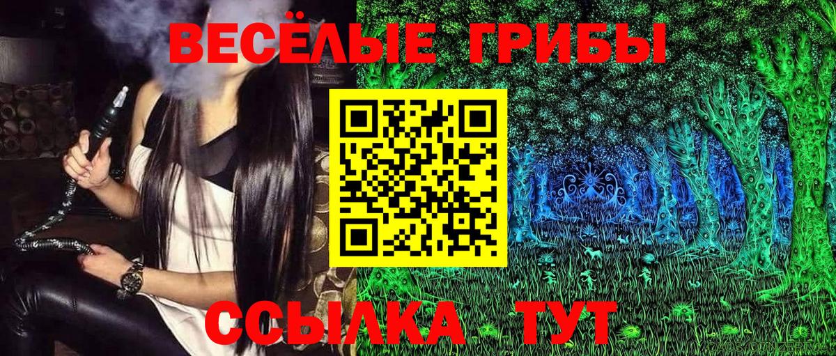Галлюциногенные грибы Psilocybe  Вход с VPN  Строитель 